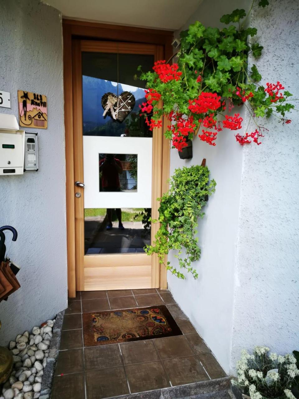 Minavill La Casa Sulle Dolomiti Bed & Breakfast Fiera Di Primiero Exterior photo